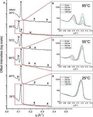 Apolar Polyisoprenoids Located in the Midplane of the Bilayer Regulate the Response of an Archaeal-Like Membrane to High Temperature and Pressure